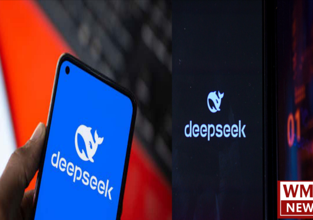 Deepseek.ai